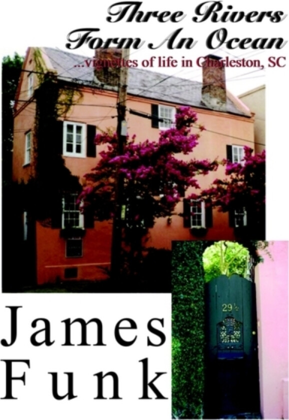 Three Rivers Form An Ocean av James Funk (Paperback)