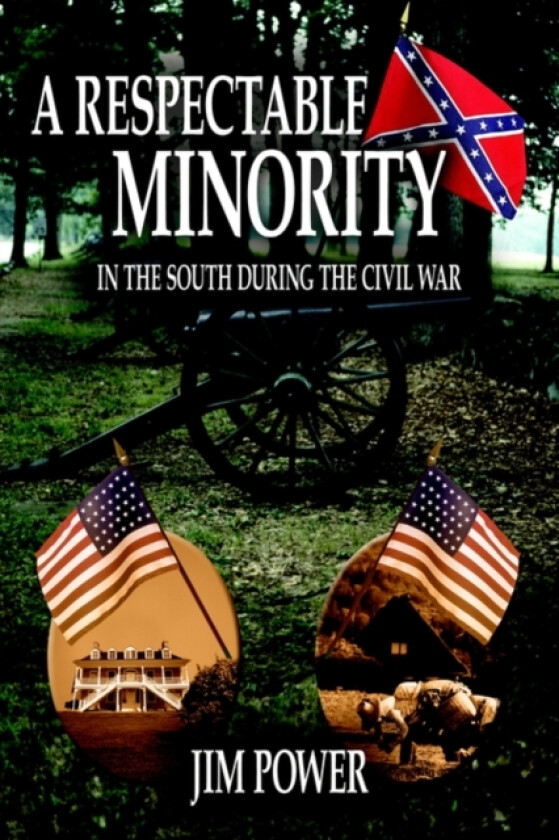 A Respectable Minority av Jim Power (Paperback)