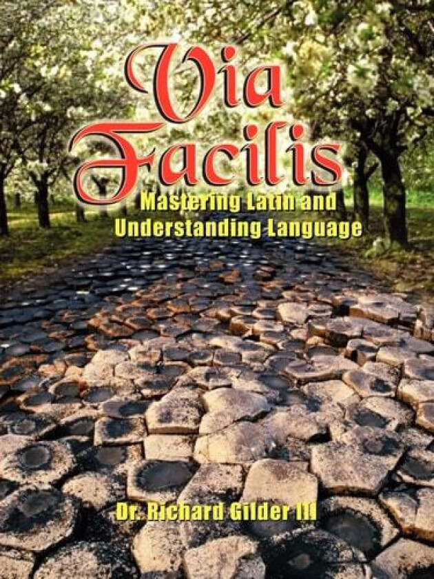 Via Facilis av Dr.Richard Gilder III (Paperback)