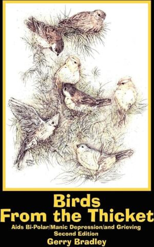 Birds From the Thicket av Gerry Bradley (Paperback)
