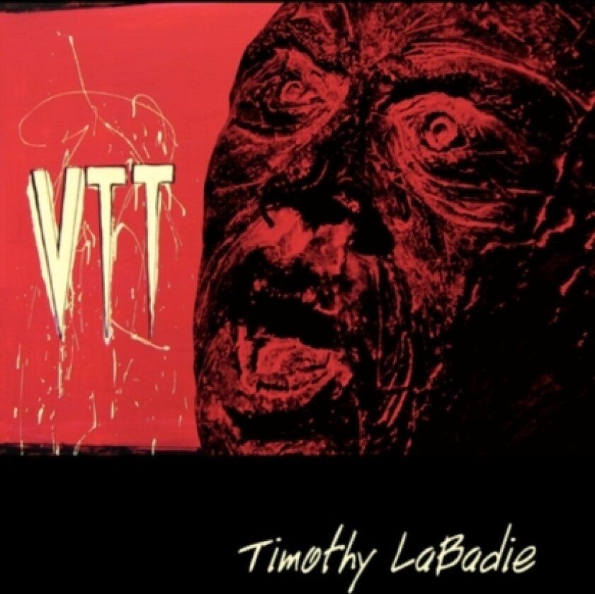 Vtt av Timothy LaBadie, Example Joint Author (Paperback)