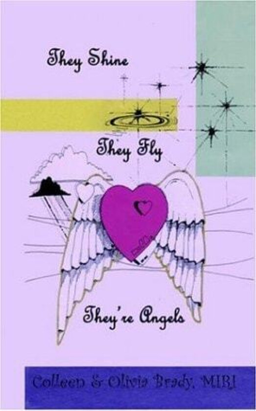 They Shine, They Fly, They're Angels av Colleen Brady, Olivia Brady (Paperback)