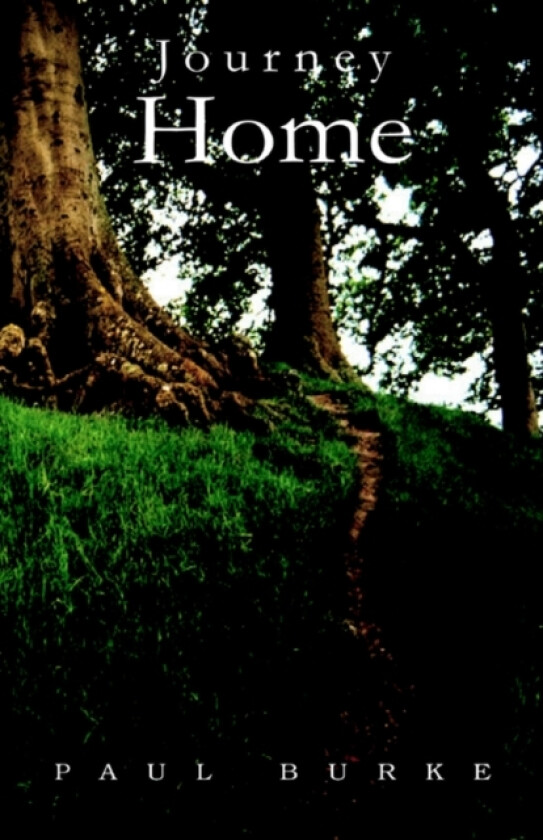 Journey Home av Visiting Fellow Paul Burke (Hardcover)