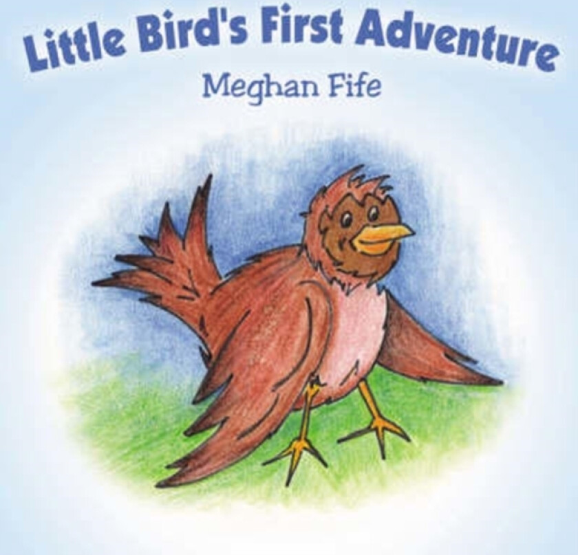 Little Bird's First Adventure av Meghan Fife (Paperback)