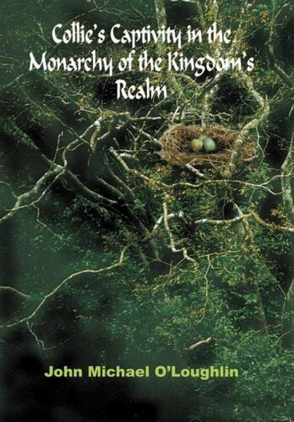 Collie's Captivity in the Monarchy of the Kingdom's Realm av John Michael O'Loughlin (Hardcover)