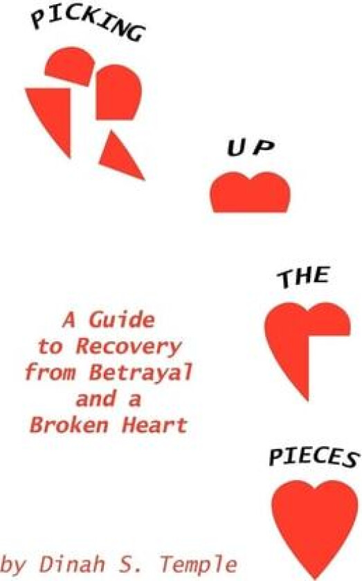 Picking Up The Pieces av Dinah S. Temple (Paperback)