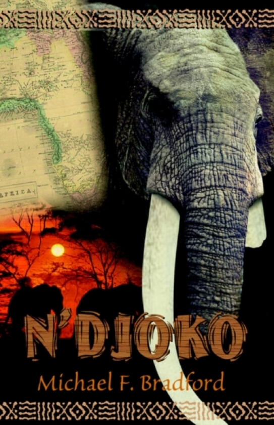 N'Djoko av Michael F Bradford (Hardcover)