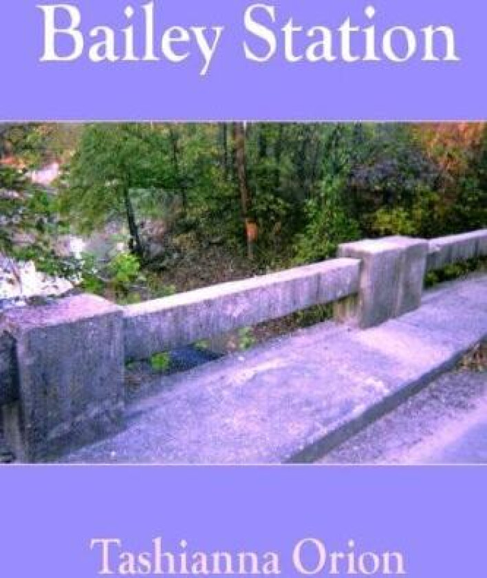 Bailey Station av Tashianna Orion (Paperback)