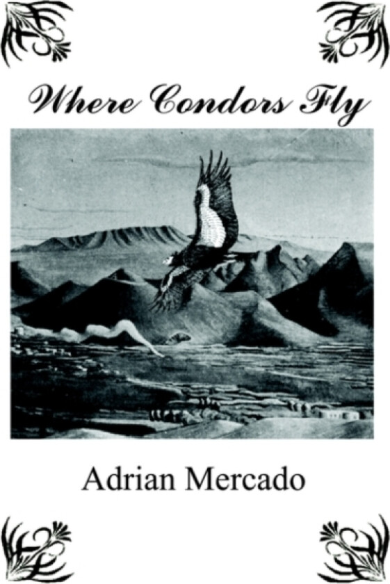 Where Condors Fly av Adrian Mercado (Hardcover)