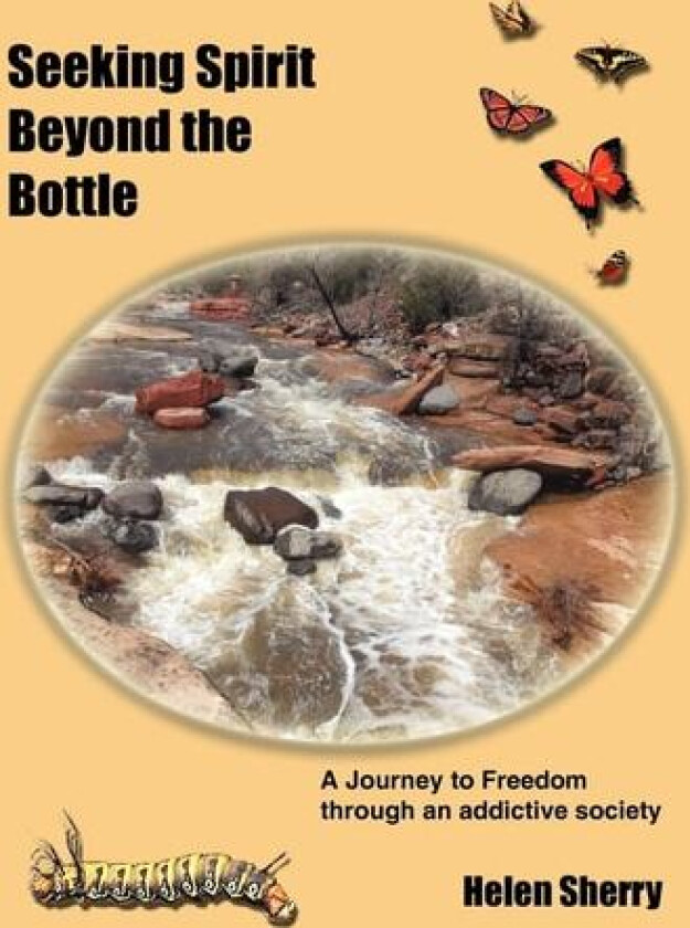 Seeking Spirit Beyond the Bottle av Helen Sherry (Hardcover)