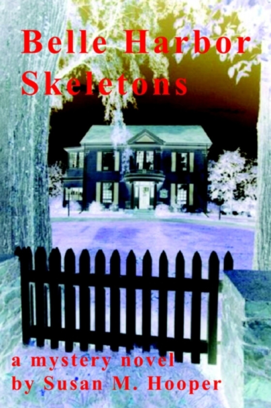 Belle Harbor Skeletons av Susan M. Hooper (Paperback)