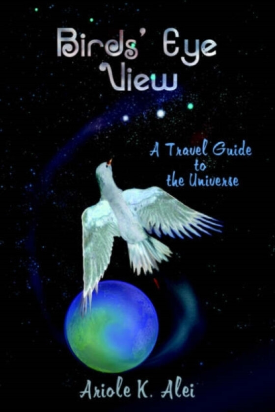 Birds' Eye View - A Travel Guide to the Universe av Ariole K. Alei (Paperback)