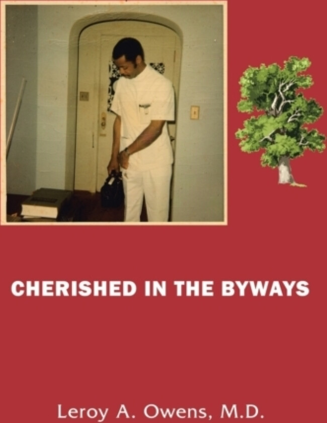 Cherished in the Byways av Leroy A. Owens (Paperback)