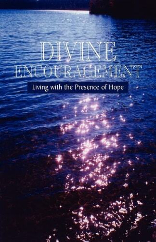 Divine Encouragement av Michael E Collins, Barbara Wheeler (Paperback)
