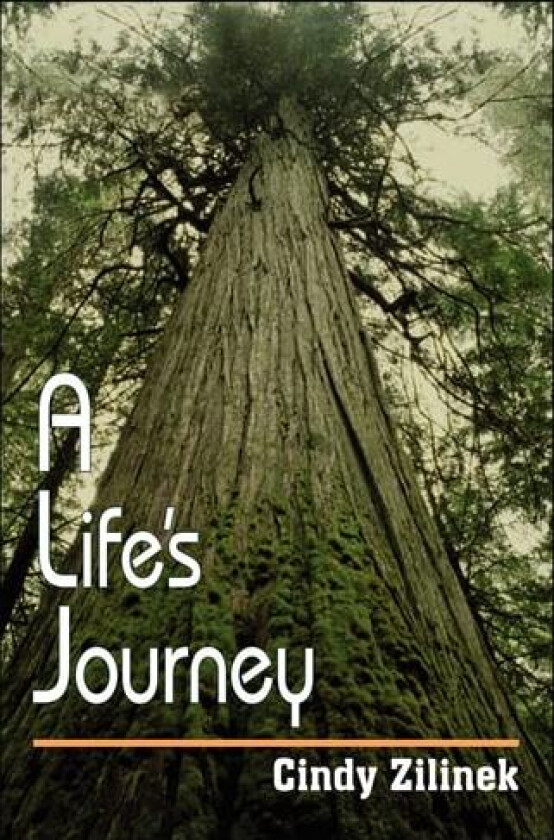 A Life's Journey av Cindy Zilinek (Paperback)