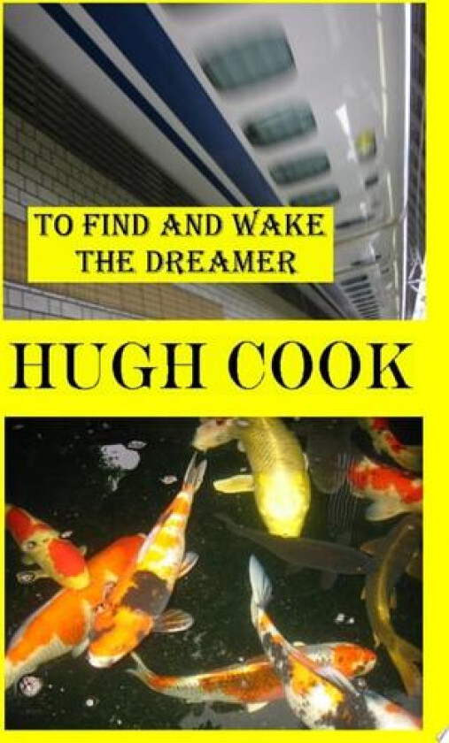 To Find and Wake the Dreamer av Hugh Cook (Paperback)