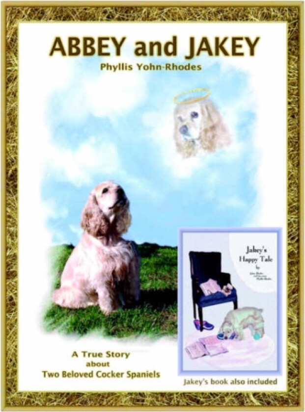 Abbey and Jakey av Phyllis Yohn-Rhodes (Paperback)
