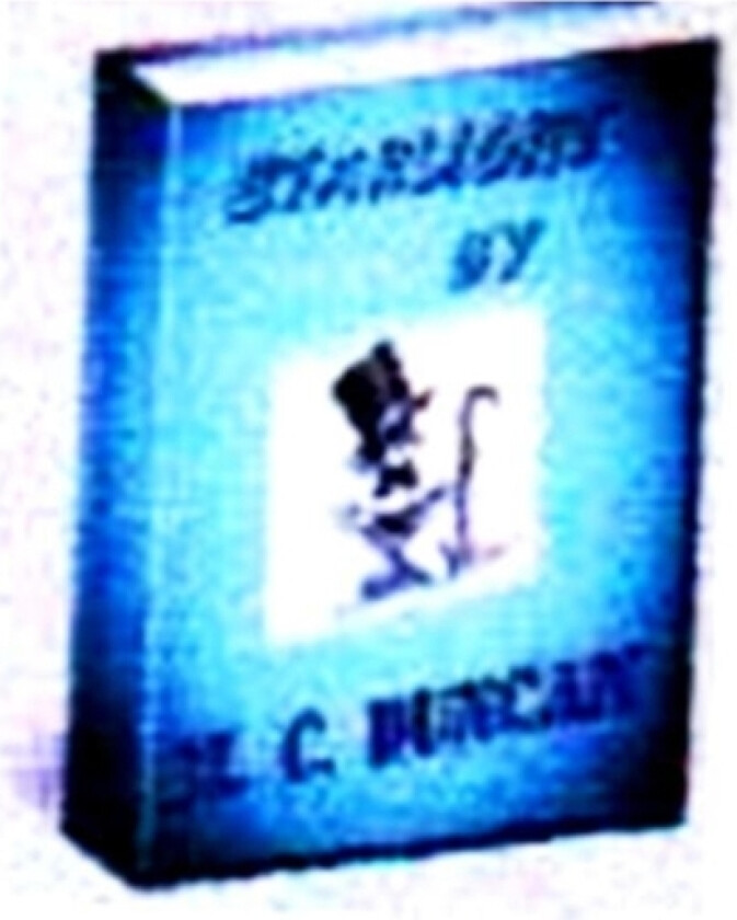 Starlight av M.C. Duncan (Paperback)