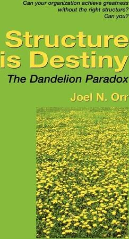 Structure is Destiny av Joel Orr (Paperback)