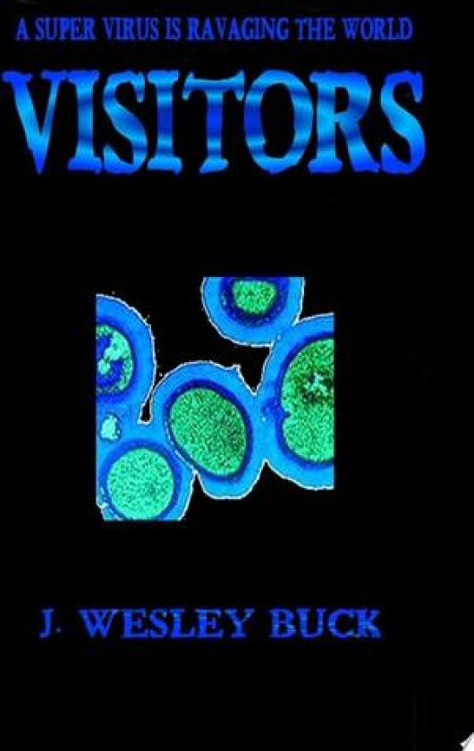 Visitors av J.Wesley Buck (Paperback)