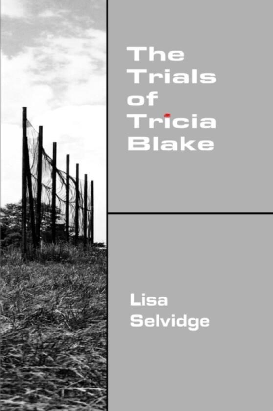 The Trials of Tricia Blake av Lisa Selvidge (Paperback)