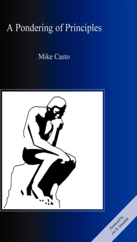 A Pondering of Principles av Mike Casto (Paperback)
