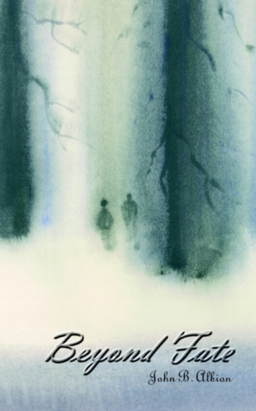 Beyond Fate av John B. Albion (Paperback)