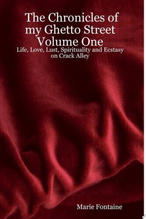 The Chronicles of My Ghetto Street Volume One av Marie Fontaine (Paperback)