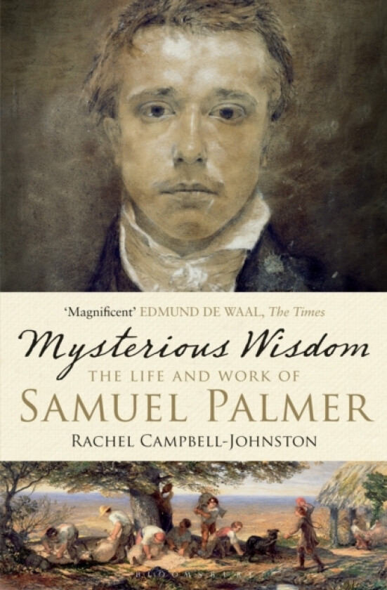 Mysterious Wisdom av Rachel Campbell-Johnston (Paperback)
