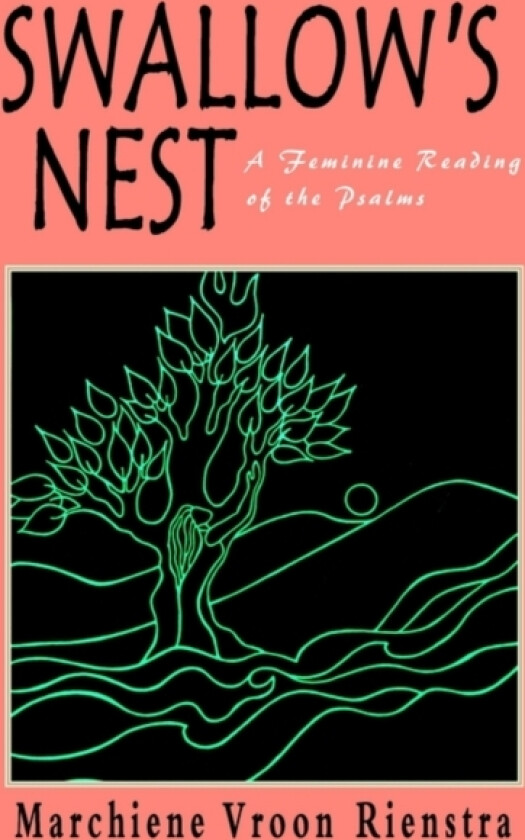 Swallow's Nest av Marchiene Vroon Rienstra (Paperback)
