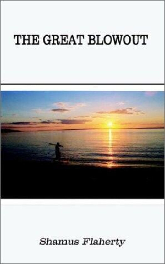 The Great Blowout av Shamus Flaherty (Paperback)