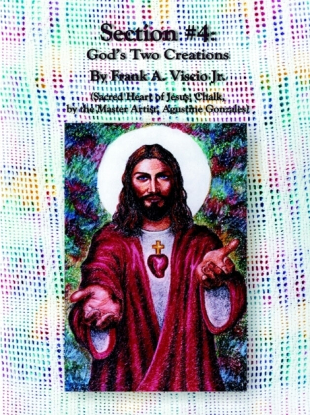 Section #4 av Frank A. Viscio Jr. (Paperback)