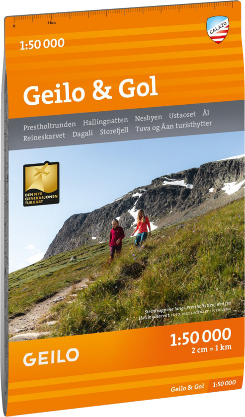 Turkart Geilo - Gol