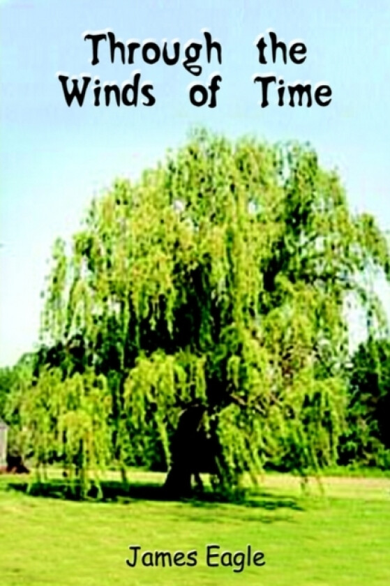 Through the Winds of Time av James Eagle (Hardcover)