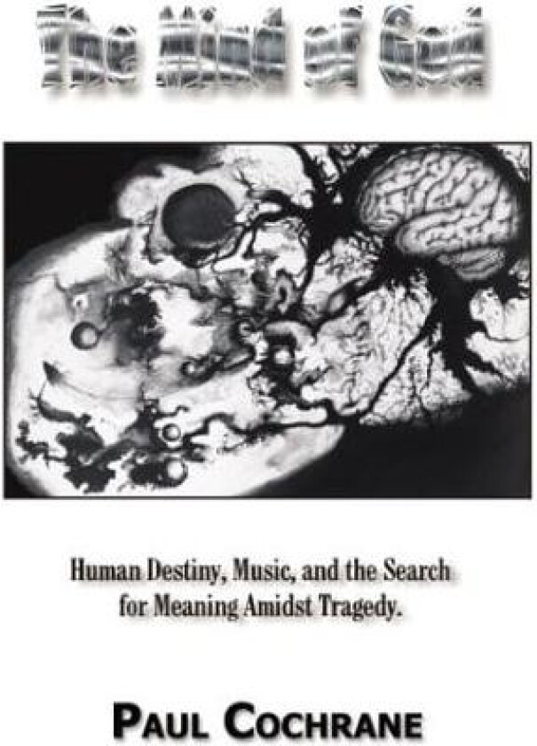The Mind of God: Human Destiny, Music, and the Search for Meaning Amidst Tragedy av Paul Cochrane (Paperback)