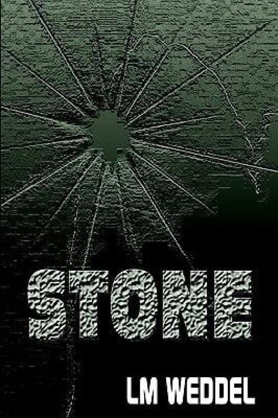 Stone av L M Weddel (Hardcover)