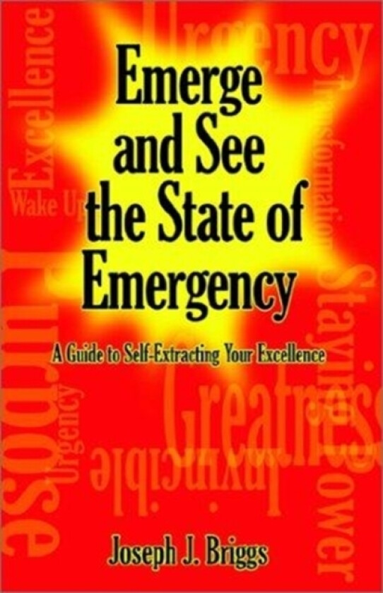 Emerge and See the State of Emergency av Joseph J Briggs (Paperback)