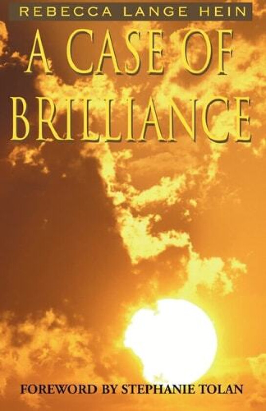 A Case of Brilliance av Rebecca Lange Hein (Paperback)