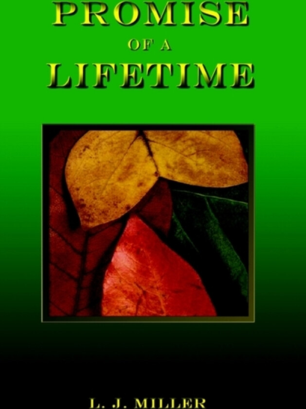 Promise of a Lifetime av L.J. Miller (Paperback)