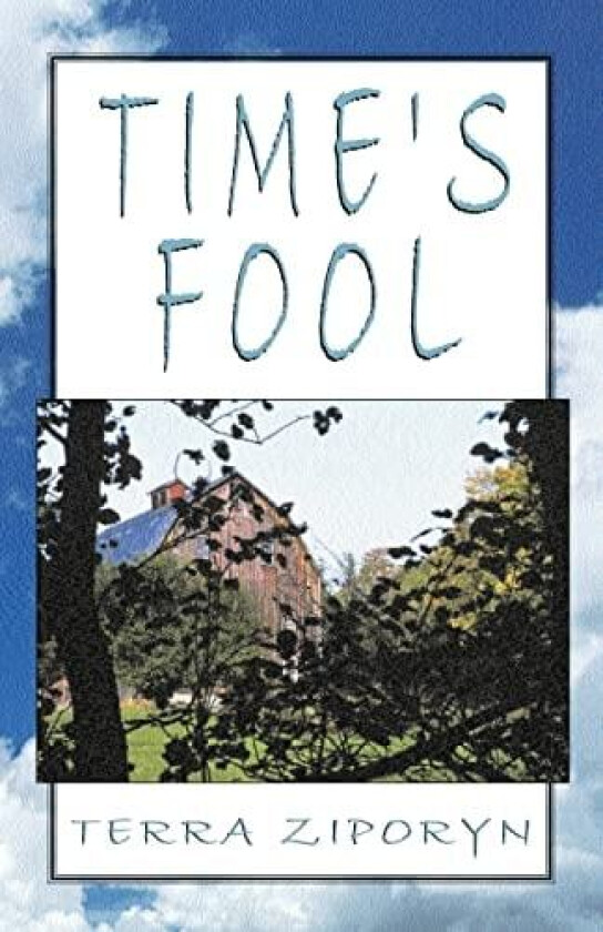 Time's Fool av Terra Diane Ph.D. Ziporyn (Paperback)