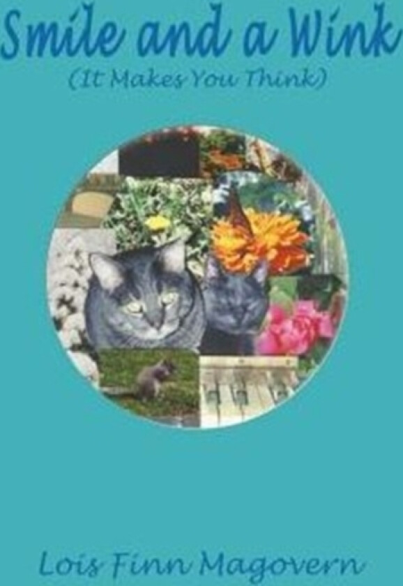 Smile and a Wink av Lois Finn Magovern (Paperback)
