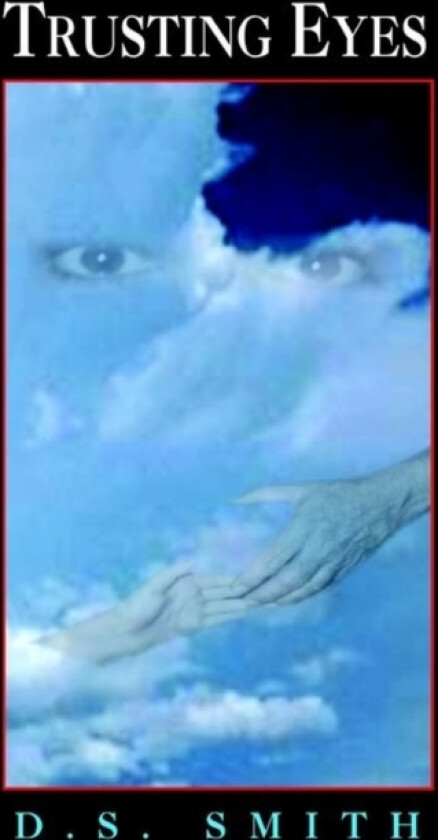 Trusting Eyes av D S Smith (Hardcover)