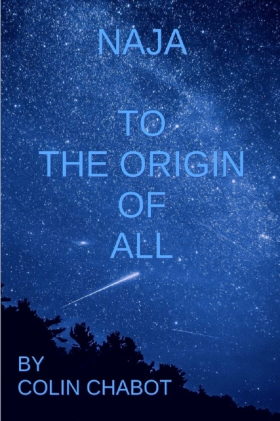 To the origin off all av Colin Chabot (Paperback)