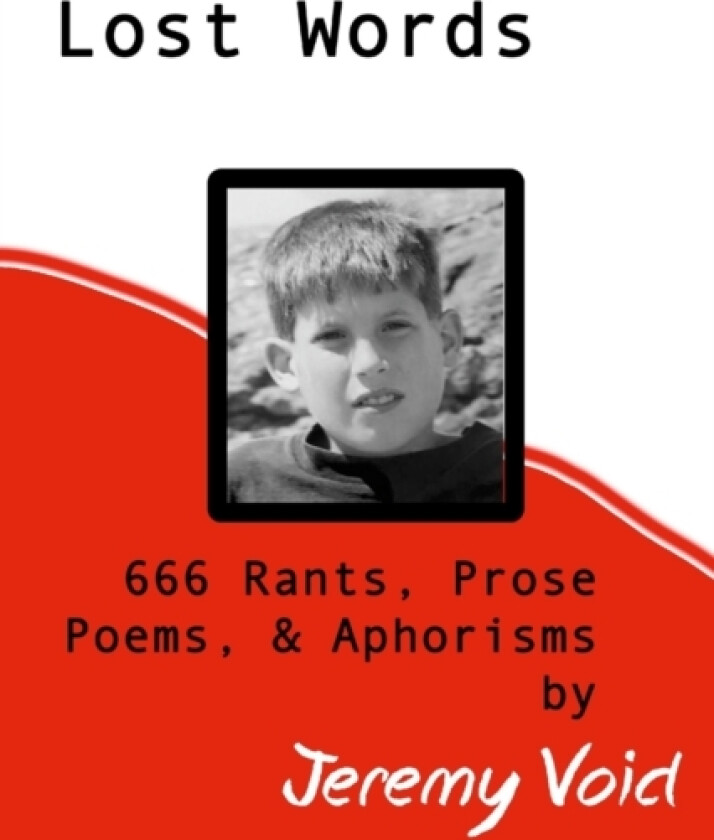 Lost Words av Jeremy Void (Paperback)