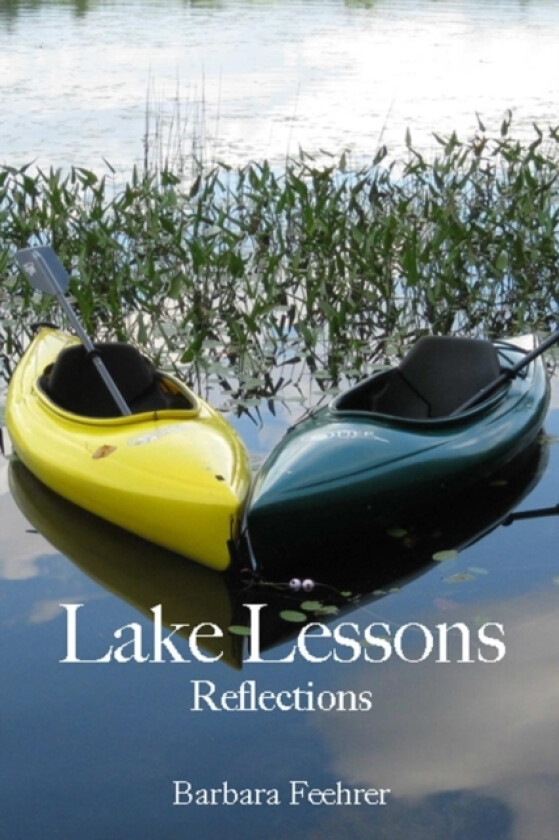 Lake Lessons av Barbara Feehrer (Paperback)