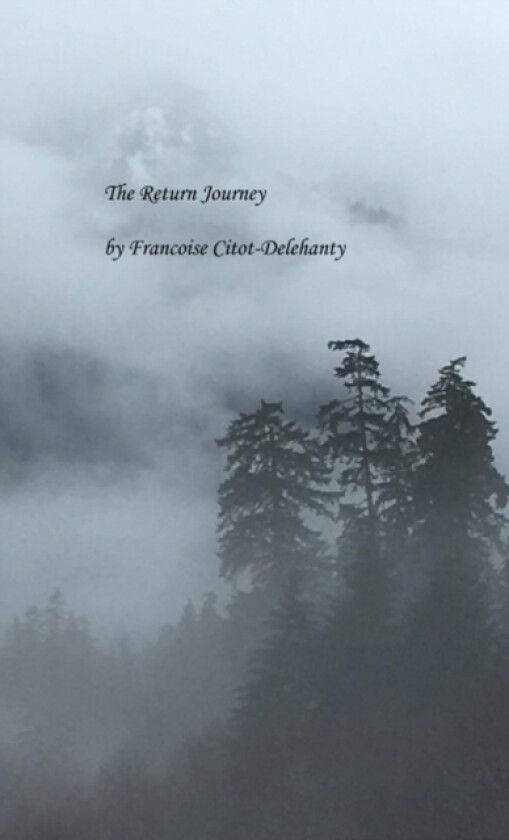 The Return Journey av Francoise Citot-Delehanty (Paperback)