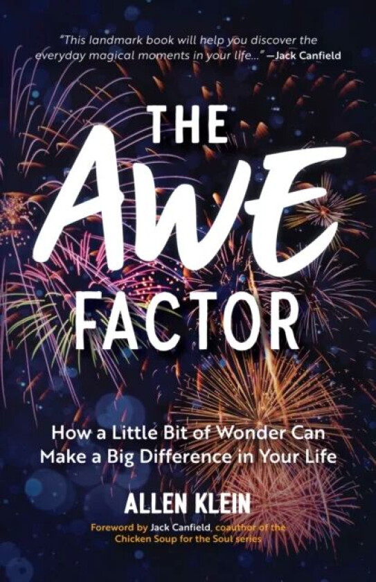 The Awe Factor av Allen Klein