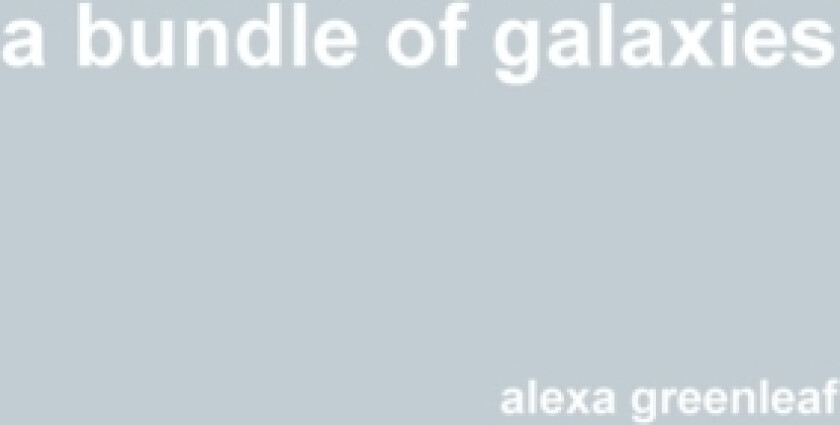A bundle of galaxies av Alexa Greenleaf (Paperback)