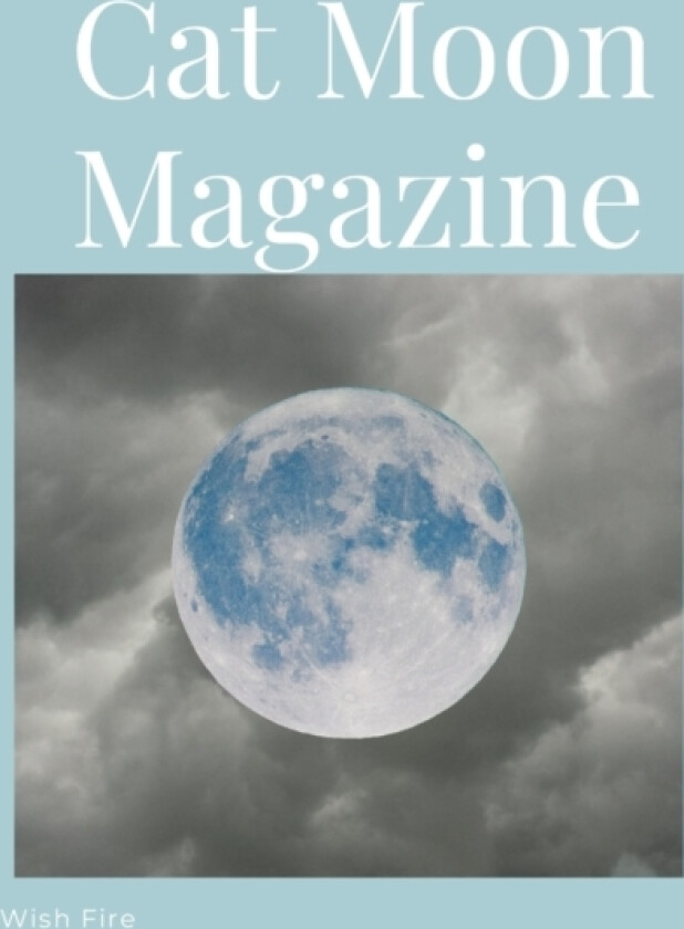 Cat Moon Magazine av Wish Fire, Deanna Stinson (Paperback)