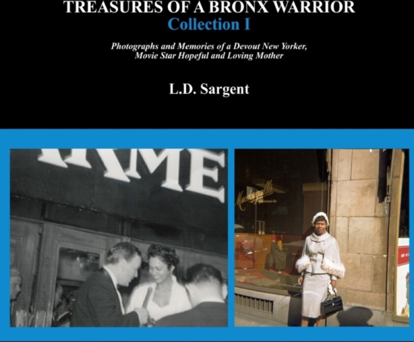 Treasures of a Bronx Warrior, Collection I av L D Sargent (Paperback)
